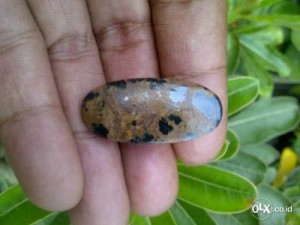 Informasi Seputar Harga Batu Akik Borneo Terkini