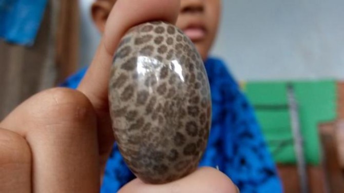 Tipe Dan Khasiat Umum Batu Akik Borneo Bermotif