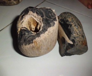 Akik Sumatera Natural Stone - Batu Galih Kelor / Fosil Kayu