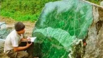 Batu Green Borneo Bacannya Kalimantan